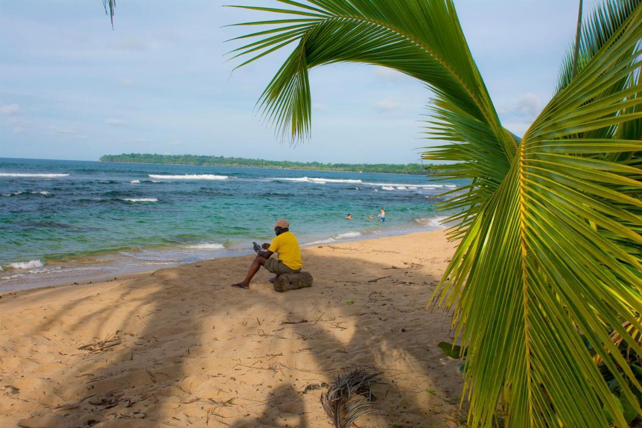 Hotel Sunshine Caribe Puerto Viejo de Talamanca Ngoại thất bức ảnh