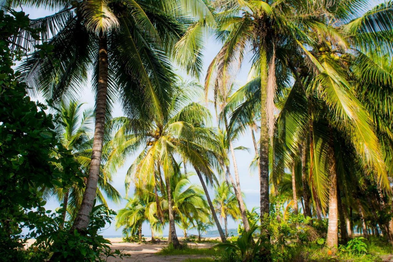 Hotel Sunshine Caribe Puerto Viejo de Talamanca Ngoại thất bức ảnh