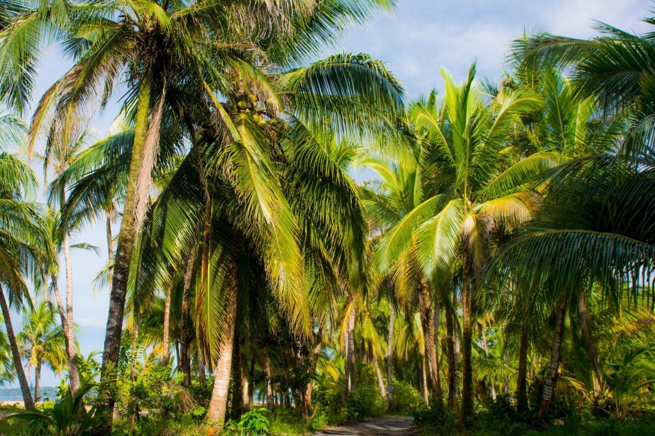Hotel Sunshine Caribe Puerto Viejo de Talamanca Ngoại thất bức ảnh