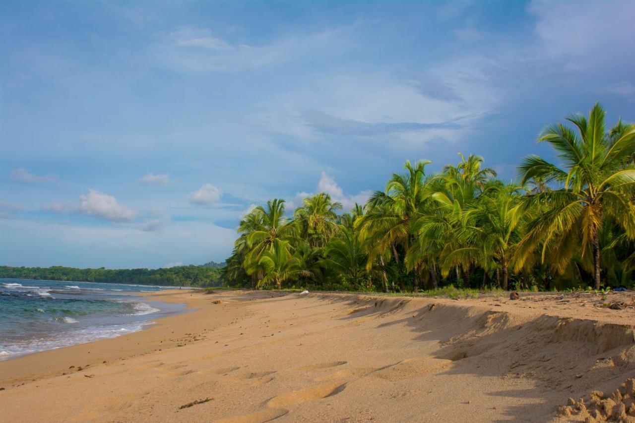 Hotel Sunshine Caribe Puerto Viejo de Talamanca Ngoại thất bức ảnh