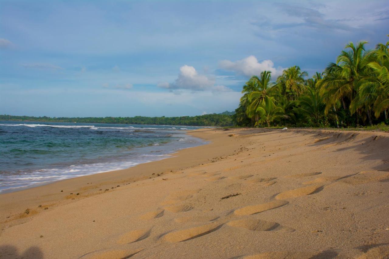Hotel Sunshine Caribe Puerto Viejo de Talamanca Ngoại thất bức ảnh