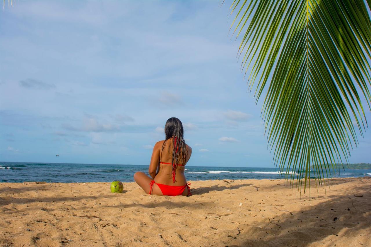 Hotel Sunshine Caribe Puerto Viejo de Talamanca Ngoại thất bức ảnh