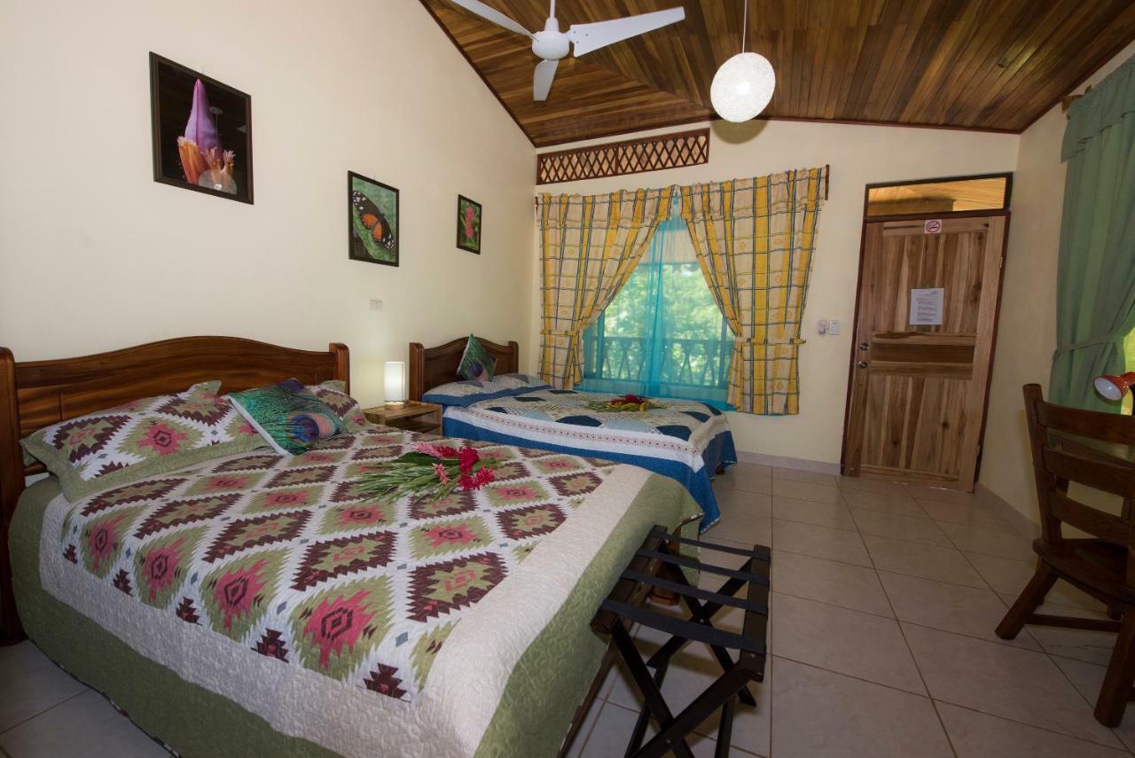 Hotel Sunshine Caribe Puerto Viejo de Talamanca Ngoại thất bức ảnh