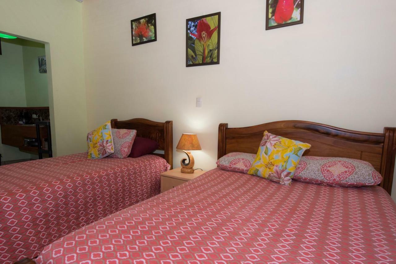 Hotel Sunshine Caribe Puerto Viejo de Talamanca Ngoại thất bức ảnh