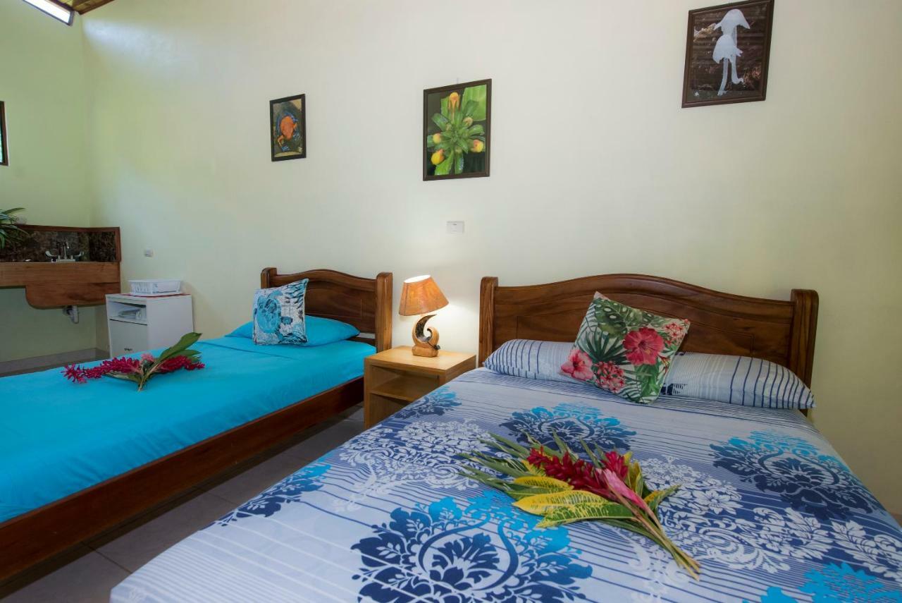Hotel Sunshine Caribe Puerto Viejo de Talamanca Ngoại thất bức ảnh
